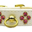 Dog, Puppy & Pet Collar, "Tiara Rhinestone"