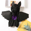 Black Bat Costume for Dogs