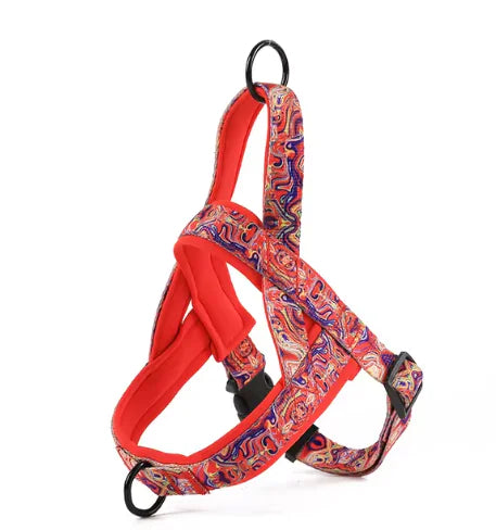 Dog Harness with Leash