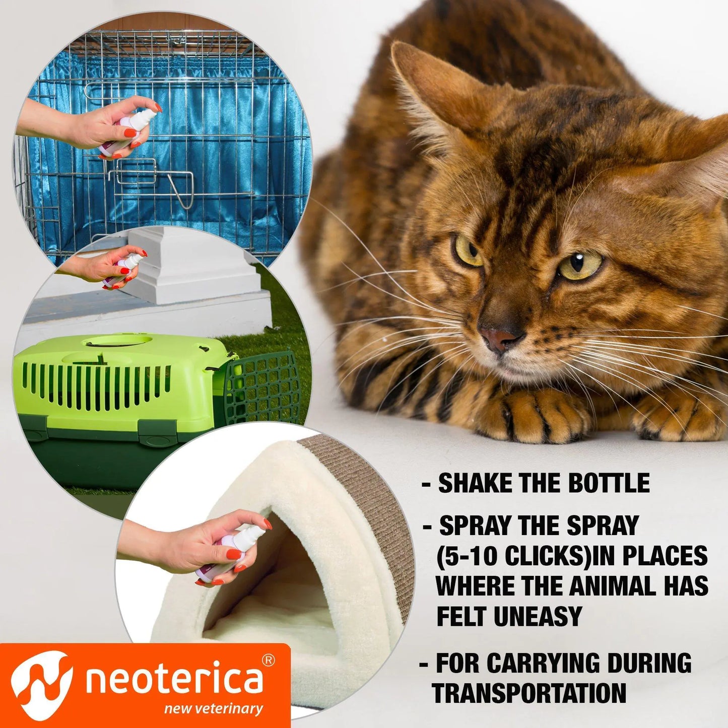 Calming Pheromone Spray Scratch Repellent for Cats Reduce Stress During Travel