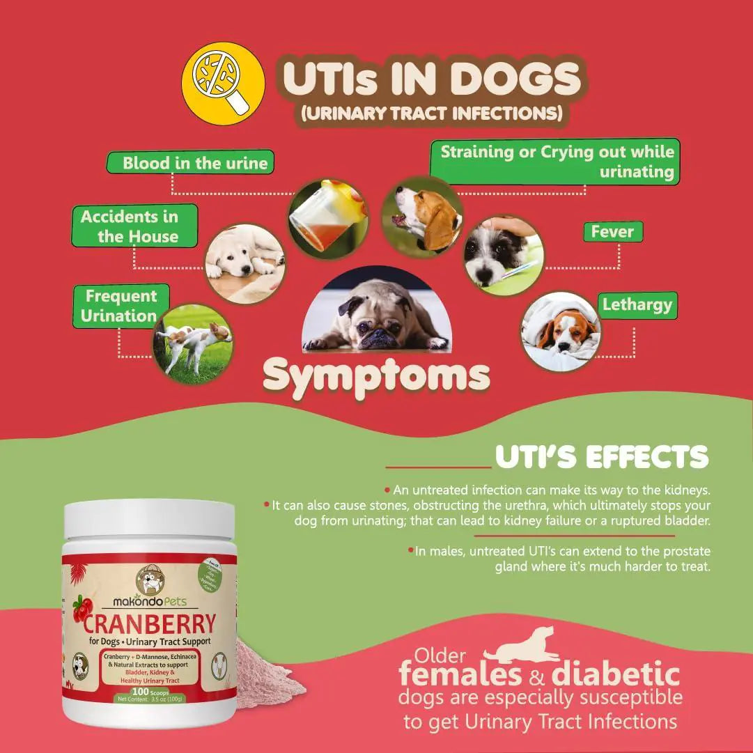 Dog Cranberry Supplement   Natural Dog UTI Treatment & Kidney Support for Dogs.