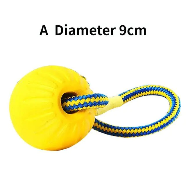 Dog Training Ball on Rope