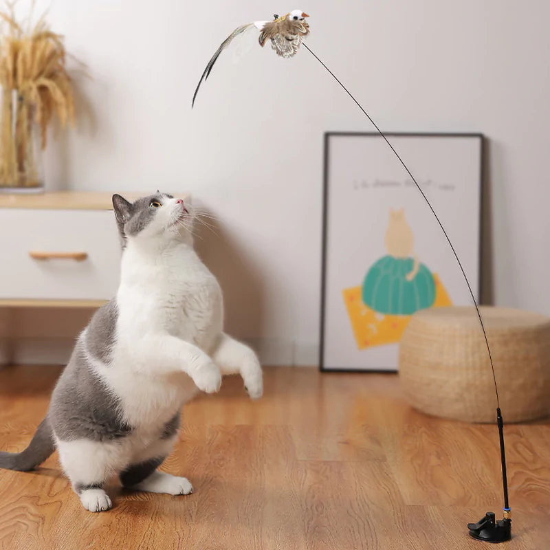 Bird Toys For Cat