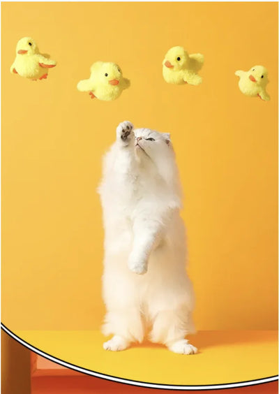 Automatic Electric Duck Cat Toy