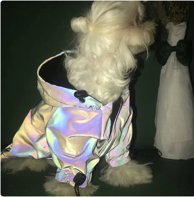 Reflective Windbreaker Hoodie for Dogs – Stylish Pet Coat