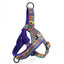 Dog Harness with Leash