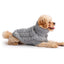 Chunky Dog Sweater