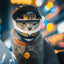 Full Face Pet Motorcycle Helmet