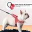 Dog Harness with Leash