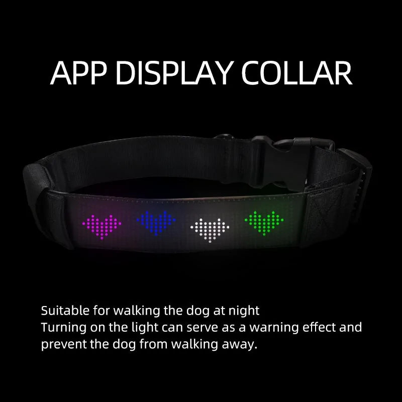 LED Display Pet Collar App Control