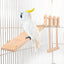 Bird Perches Platform Bird Swing Climbing Ladder Toy Parrot Wooden Playing Exercise Stands Parrot Toys Birds Stand