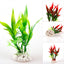 Delysia King  11 cm Fish tank landscaping simulation plants