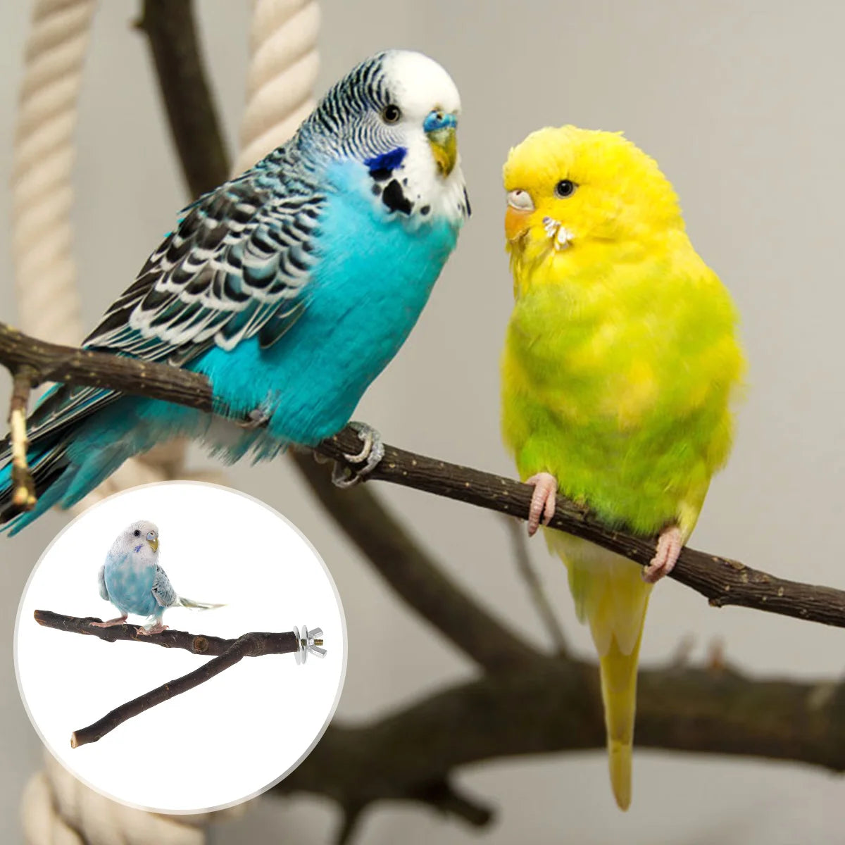 Bird Perch Paw Grinding Fork Natural Wood Bird Stand for Parakeets Chewing Exercise Branches Bird Cage Accessories for Cockatiel