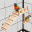 Bird Perches Platform Bird Swing Climbing Ladder Toy Parrot Wooden Playing Exercise Stands Parrot Toys Birds Stand