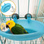 Automatic water dispenser for birds parrot feeding cage transparent parakeet seed container food feeding cage water dispenser