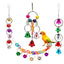 Parrot Bite Toy Bird Ring Bell Parrot Hanging Swing Chain Toy Parakeet Chew Swings Toy with Hanging Bells Bird Cage Bird Toys