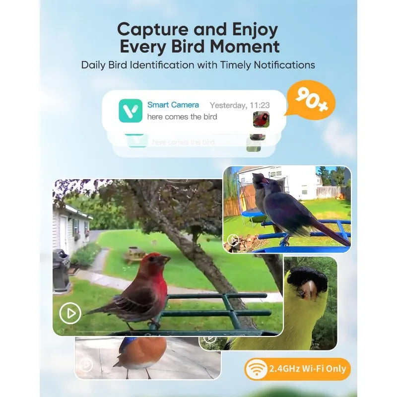 Smart Hummingbird Feeder for Backyard - 2K Live AI Identify Auto Capture Bird Video Pictures