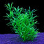 Artificial Aquarium Decoration Plant Plastic Water Grass Fish Tank Plants Simulation Underwater Decor Piante Acquario