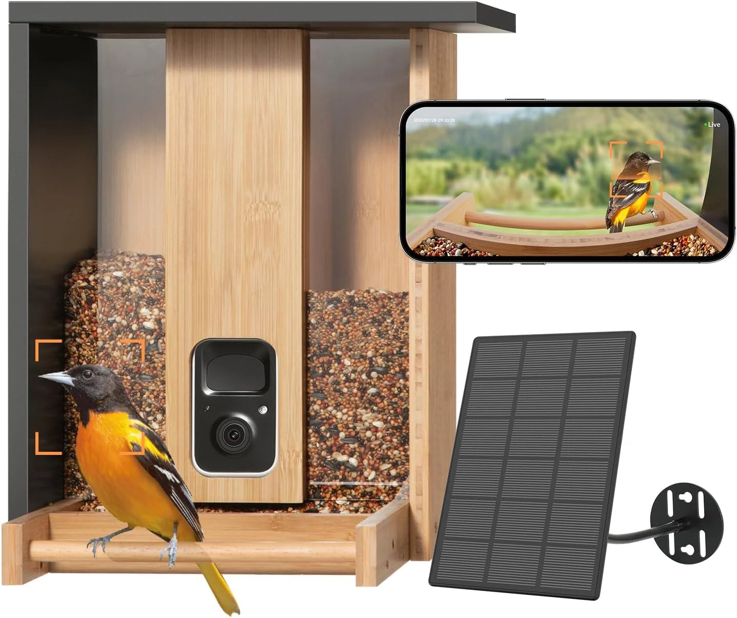 Powered, Auto Capture Birds & Notify in Time, Powerful AI Recognition, Bamboo Wood Bird Feeder Camera, Ideal Present