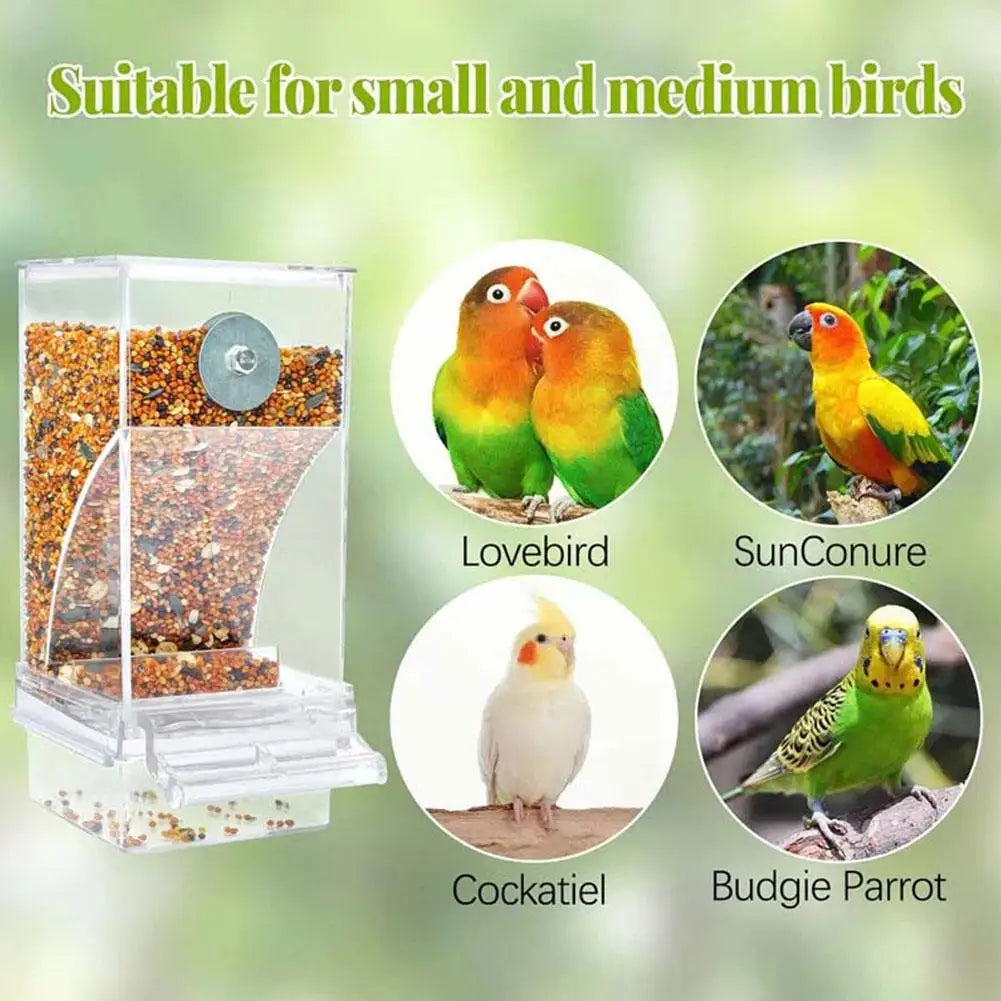 New Automatic Bird Feeder Neat Parrot Pigeon Transparent Feeder Large Capacity Hanging Anti-sprinkler Feeder Bird Box Container