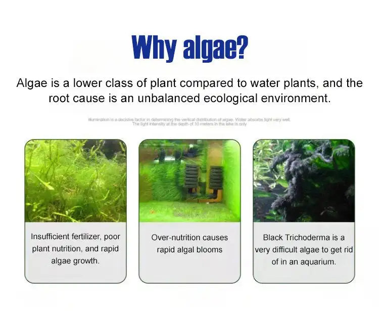 Algae Remover Fish Tank Water Grass Aquarium Green Aquatic Weed Moss Algae Removal Environmental Ecological Safe Water Purifier