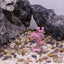 UXCELL Artificial Fake Coral Undersea Water Plants Fish Tank Simulation Fake Coral Aquarium Decoration Ornaments Accessories