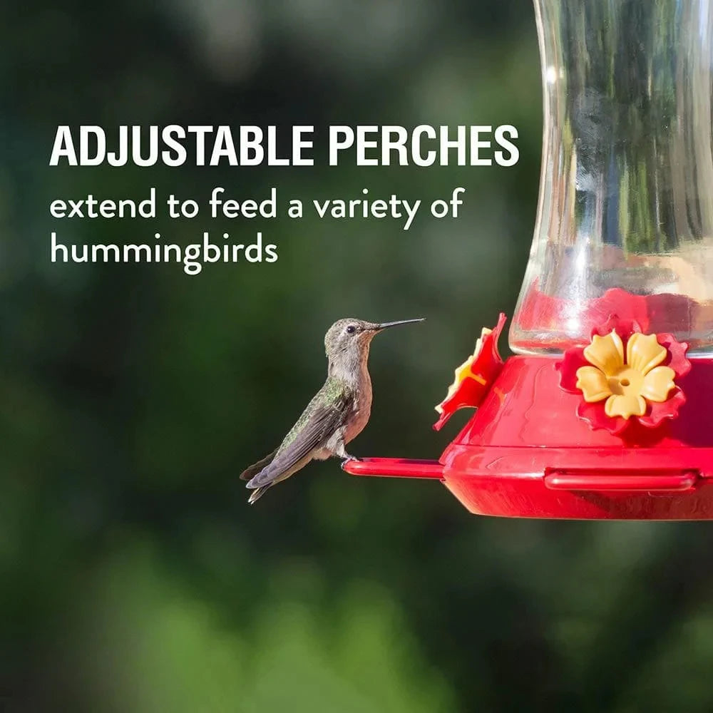 US Adjustable Perch Glass Hummingbird Feeder - 20 oz. Capacity