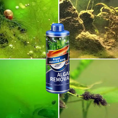 Algae Remover Fish Tank Water Grass Aquarium Green Aquatic Weed Moss Algae Removal Environmental Ecological Safe Water Purifier