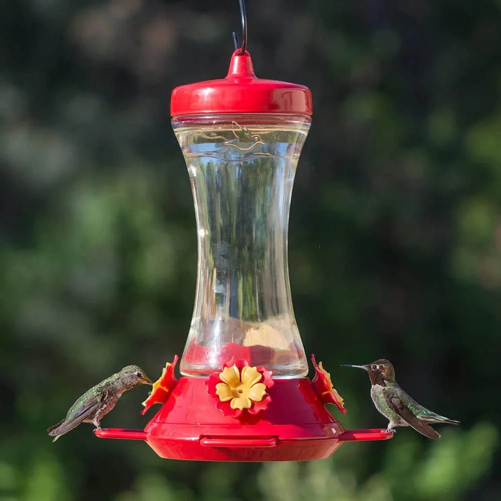 US Adjustable Perch Glass Hummingbird Feeder - 20 oz. Capacity