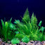 Artificial Underwater Plastic Plants Aquarium Fish Tank Aquatic Fake Shrub Green Water Grass Viewing Simulation Decoration