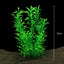 Artificial Aquarium Decor Plants Plastic Aquatic Plants Underwater Plants Aquarium Accessories Decoration Piante Acquario