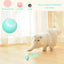 Smart Cat Ball Toys