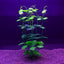 Artificial Aquarium Decoration Plant Plastic Water Grass Fish Tank Plants Simulation Underwater Decor Piante Acquario