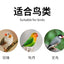 Products House Bird Cages Accessories Backpack House Toys Box Bird Cages Outdoor Garden Stuff Jaula Pajaro Pet Products RR50BN