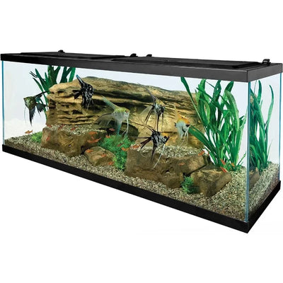 Tetra-55 Gallon Aquarium Kit, Fish Tank, Fish Net, Fish Food, Heater and Water Conditioners