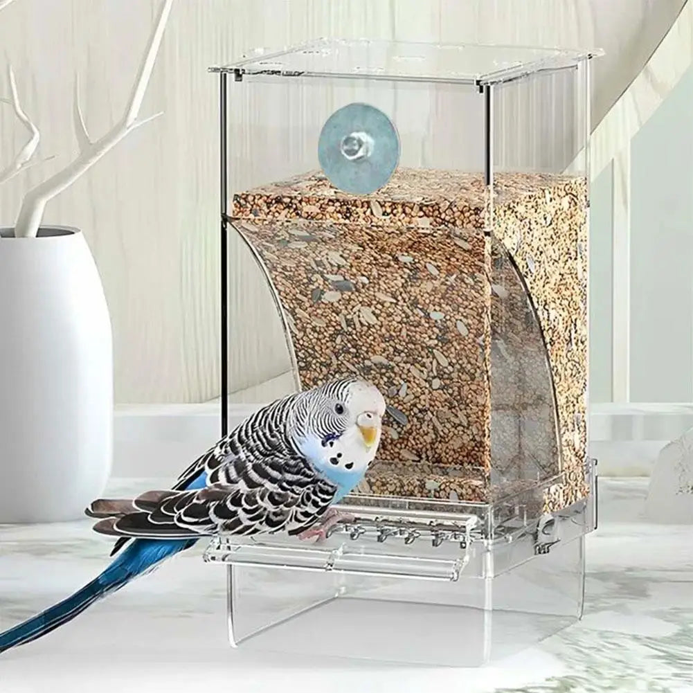 New Automatic Bird Feeder Neat Parrot Pigeon Transparent Feeder Large Capacity Hanging Anti-sprinkler Feeder Bird Box Container