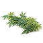 Artificial Plant Fish  Decorations Green Artificial Plant Fake Leaves Aquarium Fish  Reptile Terrarium Ornaments Decor