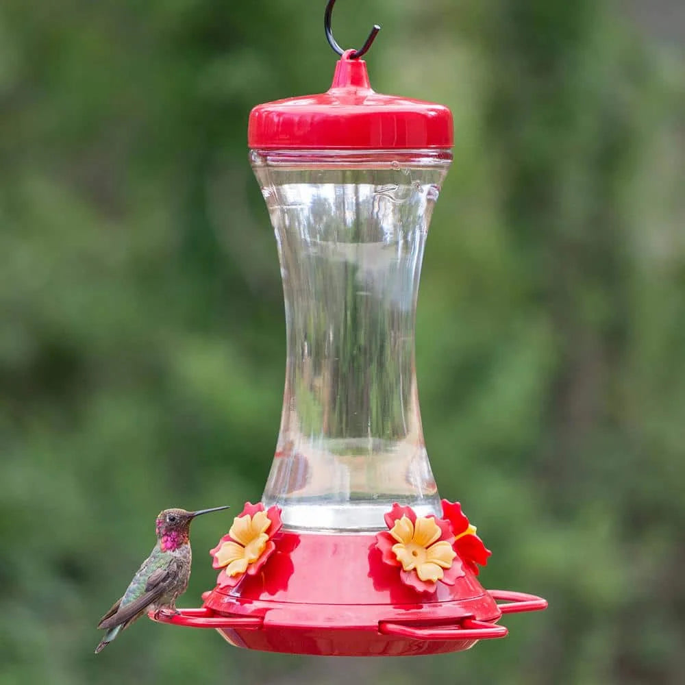 US Adjustable Perch Glass Hummingbird Feeder - 20 oz. Capacity