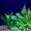 Artificial Underwater Plastic Plants Aquarium Fish Tank Aquatic Fake Shrub Green Water Grass Viewing Simulation Decoration