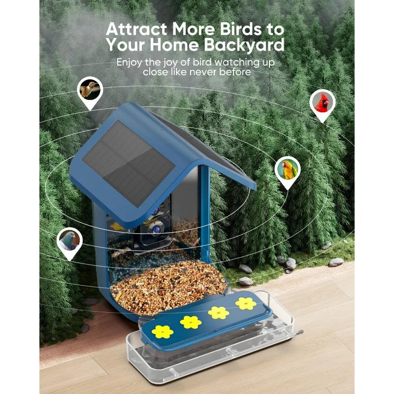 Smart Hummingbird Feeder for Backyard - 2K Live AI Identify Auto Capture Bird Video Pictures