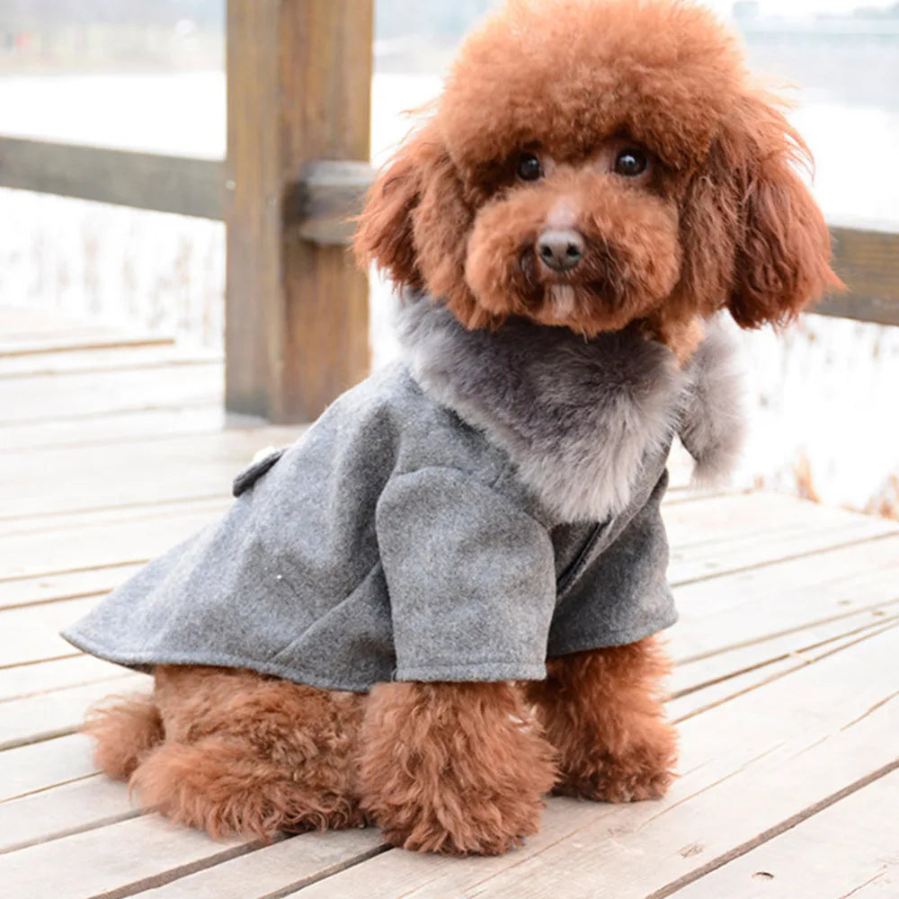 Pet Fur Collar Jacket