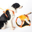 Breathable Adjustable Pets Harness Vest