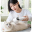 Smart Pet Hair Dryer