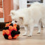 Pet Snuffle Ball