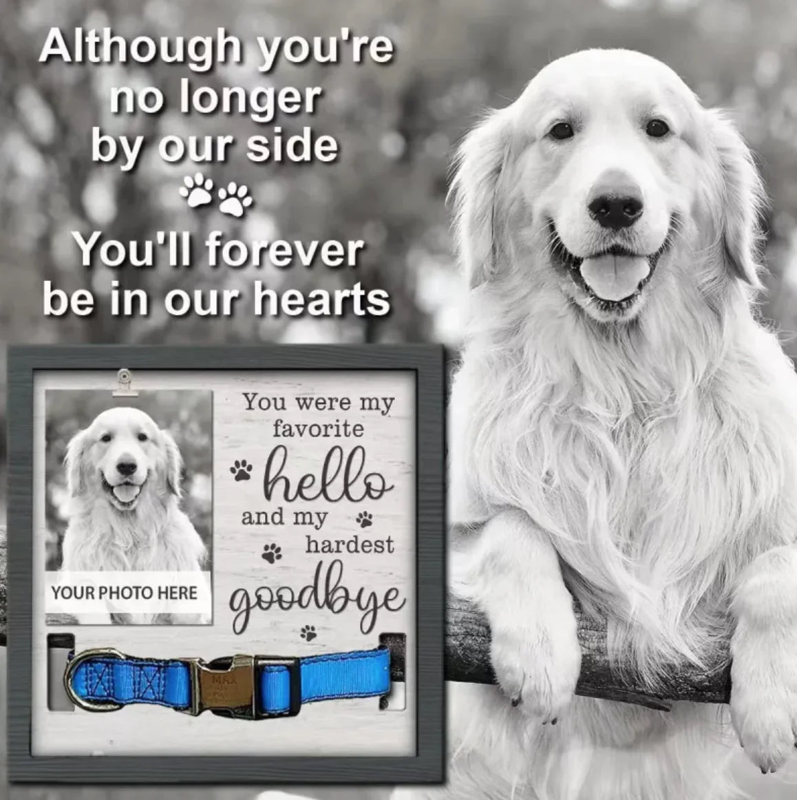 Creative Wooden Pet Commemorative Plaque - Dog Collar & Photo Frame