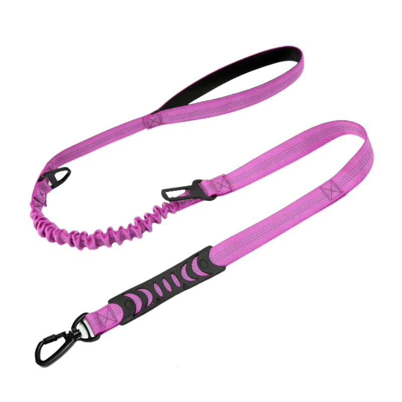 PuppHub Signature Leash