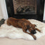 Faux Fur Dog Bed