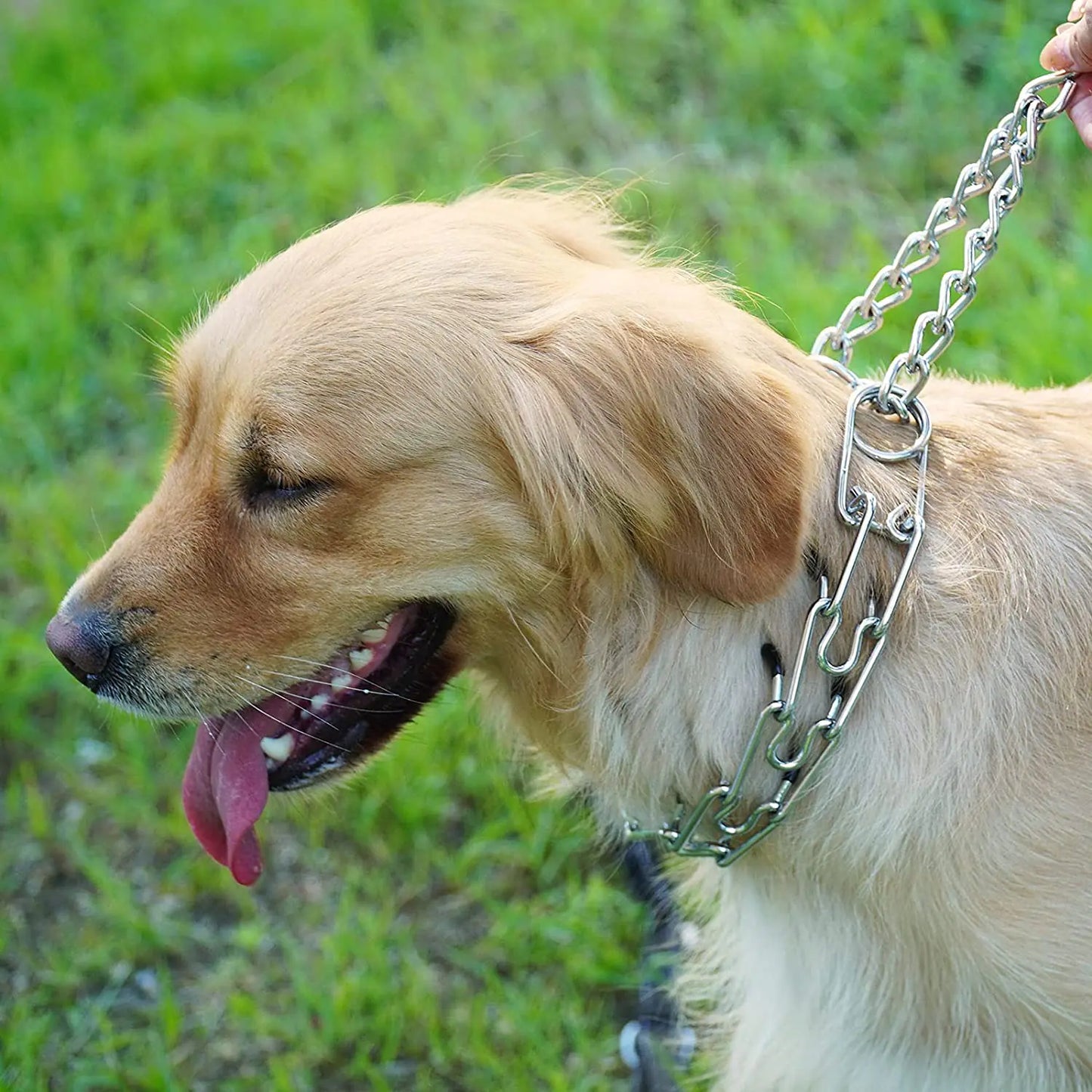 Dog Training Pinch Collar with Rubber Tips