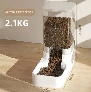 Cat And Dog Automatic Feeder