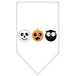 Halloween Pet and Dog Bandana Screen Printed, "The Spook Trio"